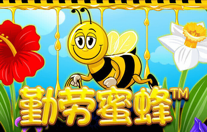 bob手机综合app
